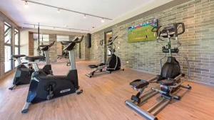 gimnasio edif seven
