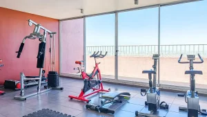 gym santa rosa